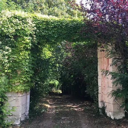 Les Terrasses De Chaumont 1 * Montsoreau